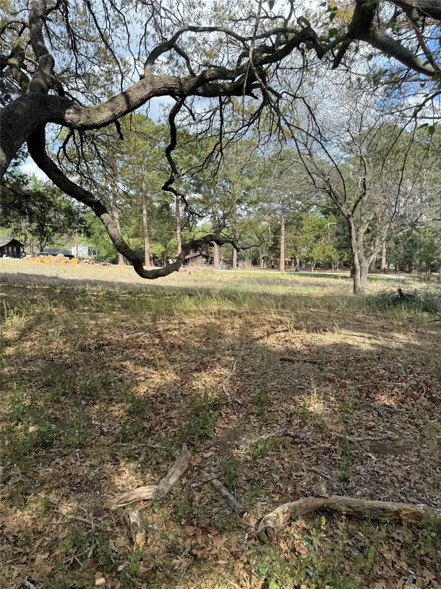 Lot 142 Pine Song, Bastrop, TX 78602 - #3