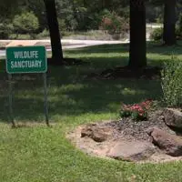 157 Campfire Way, Smithville, TX 78957 - Image #2