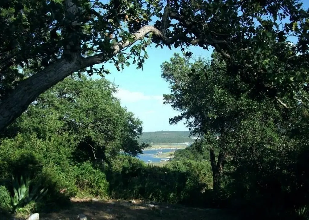 18201 Gregg Bluff Rd, Jonestown, TX 78645 - #1
