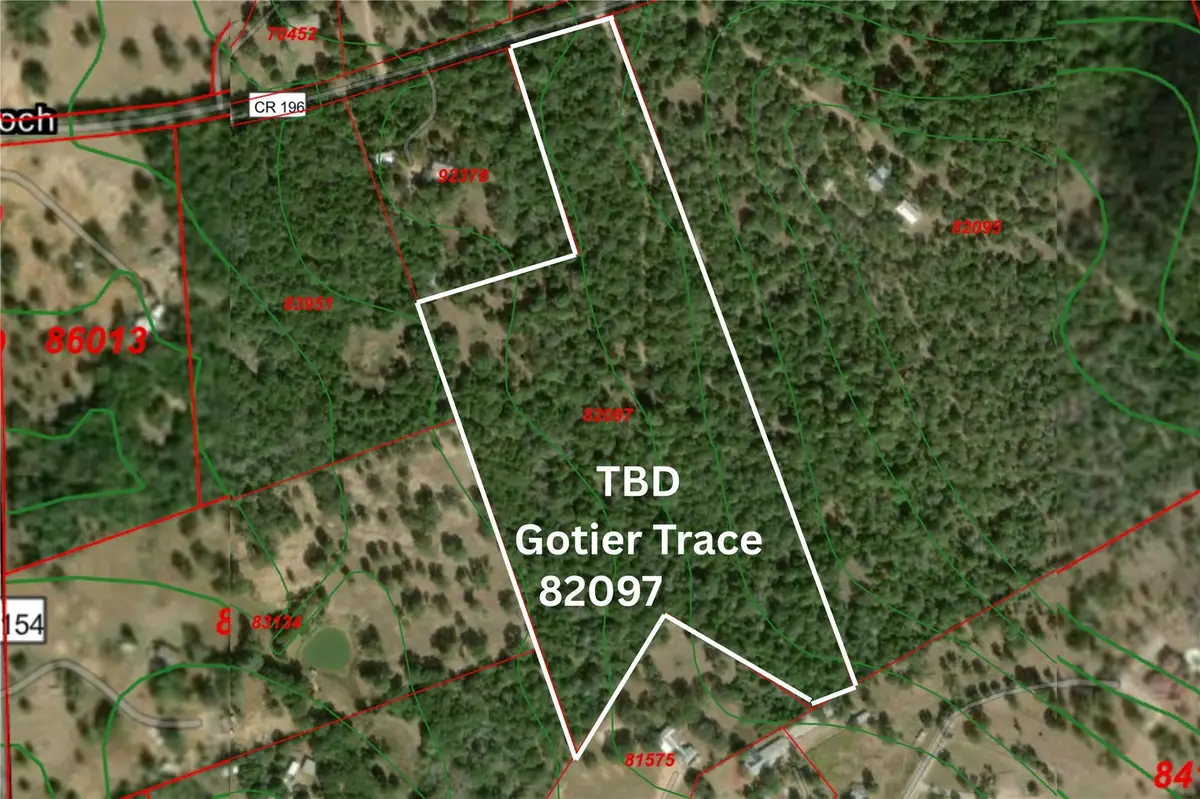 TBD Gotier Trace Rd, Paige, TX 78659 - #1