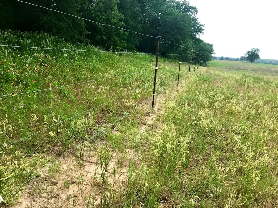 1672 Sayers Rd #Tract 1, Bastrop, TX 78602 - #3