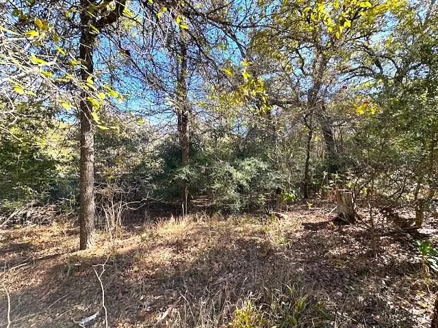 506 Tahitian Dr, Bastrop, TX 78602 - #3