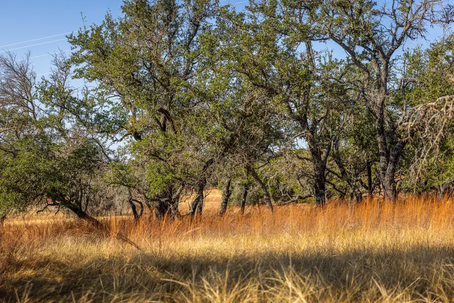 1260 County Road 2001, Lampasas, TX 76550 - Image #2