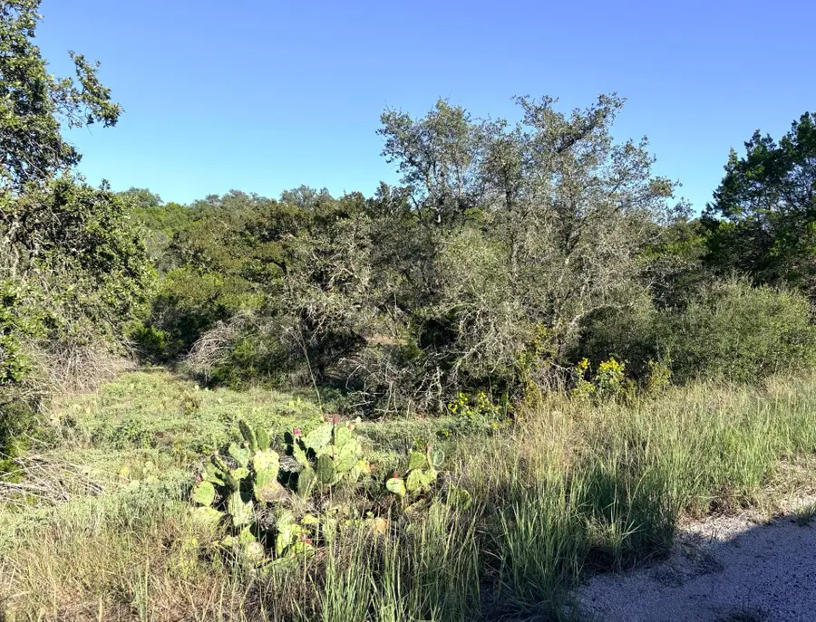 TBD Mountain Dew Rd., Horseshoe Bay, TX 78657 - #3