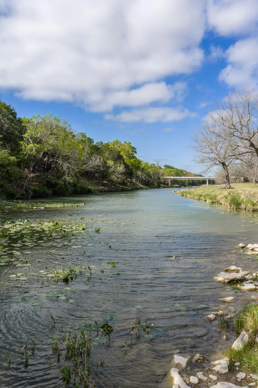 10250 E Fm 501, San Saba, TX 76877 - #2