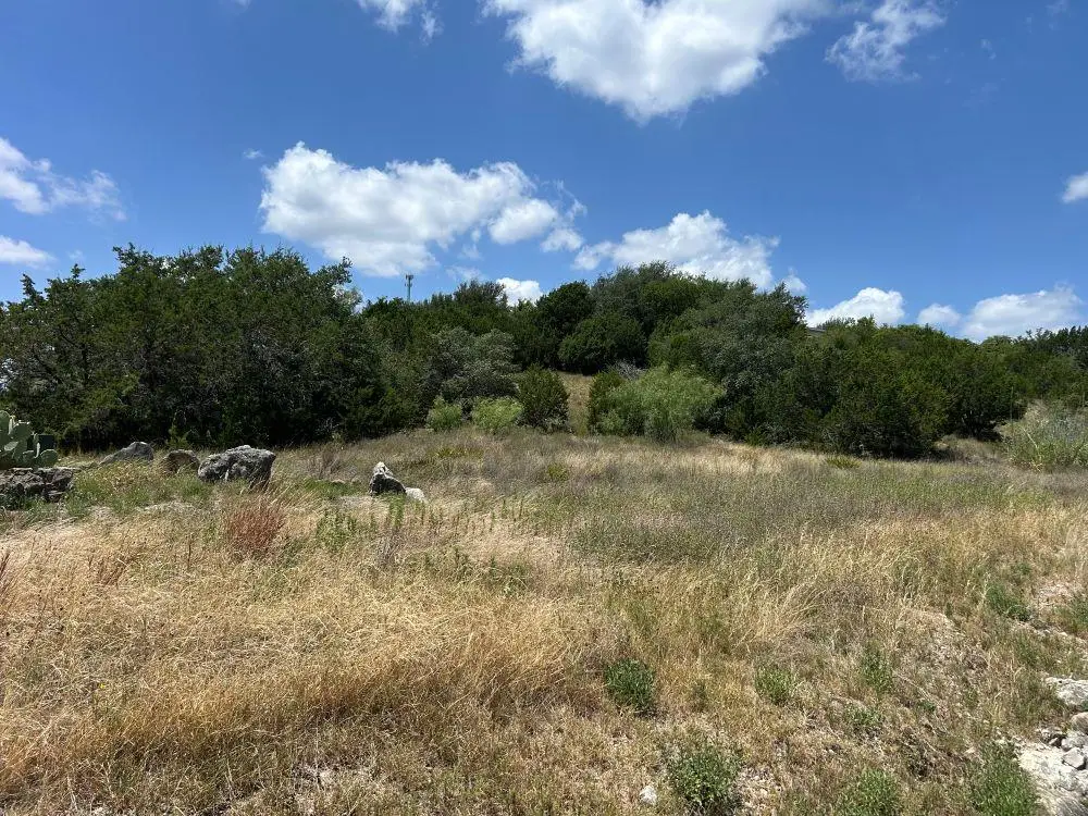 21408 Noack Hl, Spicewood, TX 78669 - #1