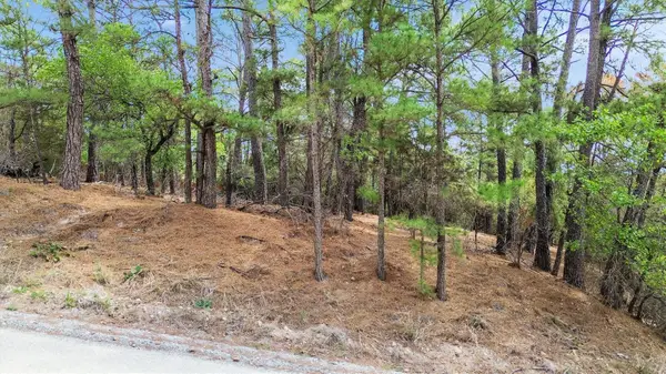 141 Kamaiki Dr, Bastrop, TX 78602