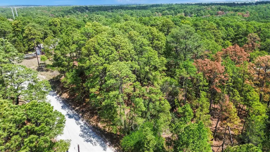 141 Kamaiki Dr, Bastrop, TX 78602 - #3