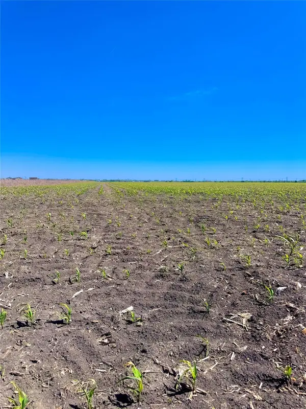 TBD Tract 4 Lund Carlson Rd, Coupland, TX 78615