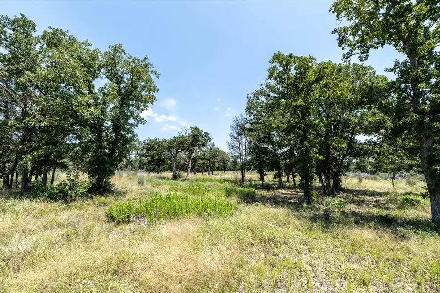 Tract 3 Edgewood Trail Rd, Paige, TX 78659 - #3
