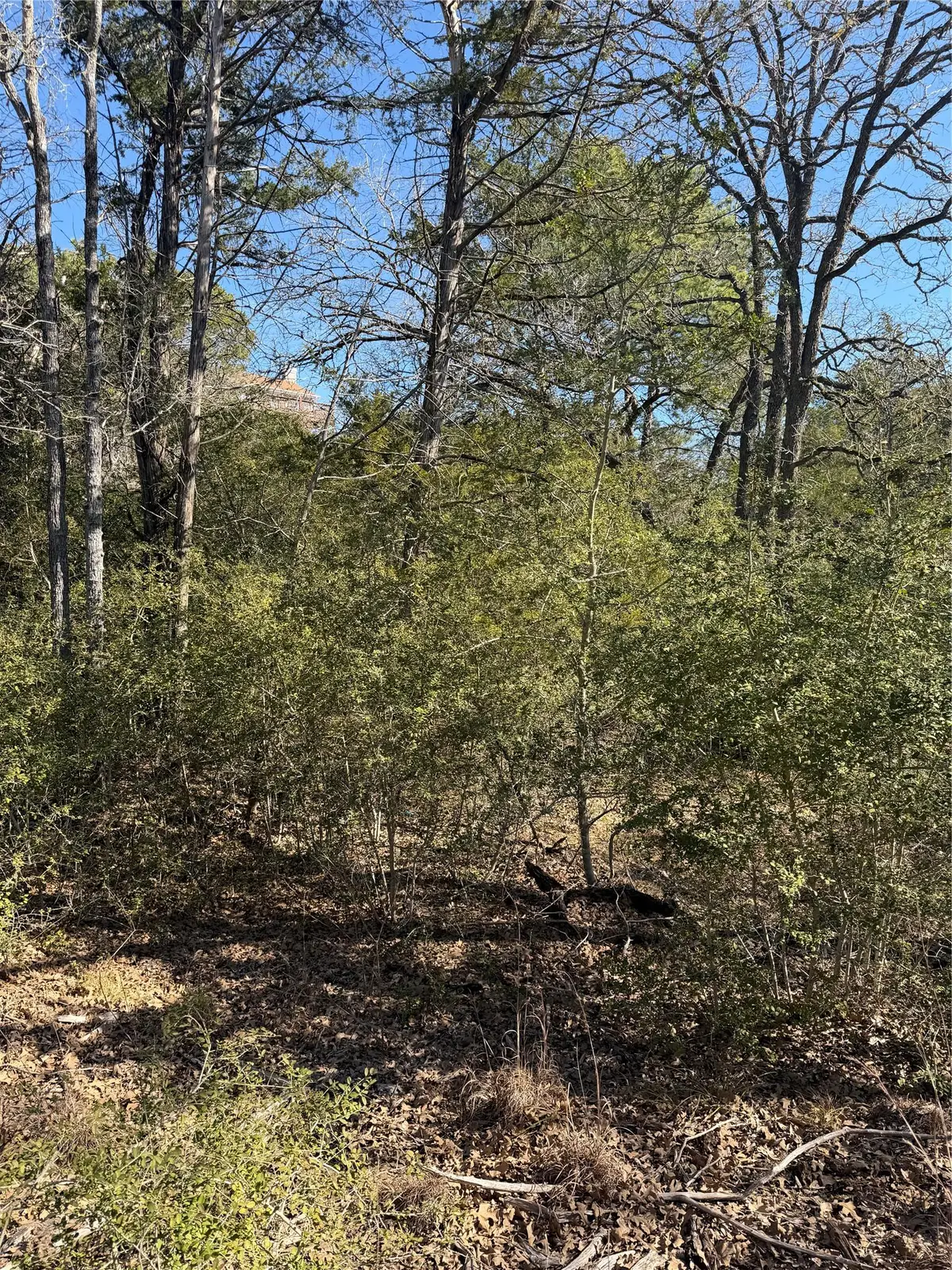 Lot 110 Wailupe Cir, Bastrop, TX 78602 - #1