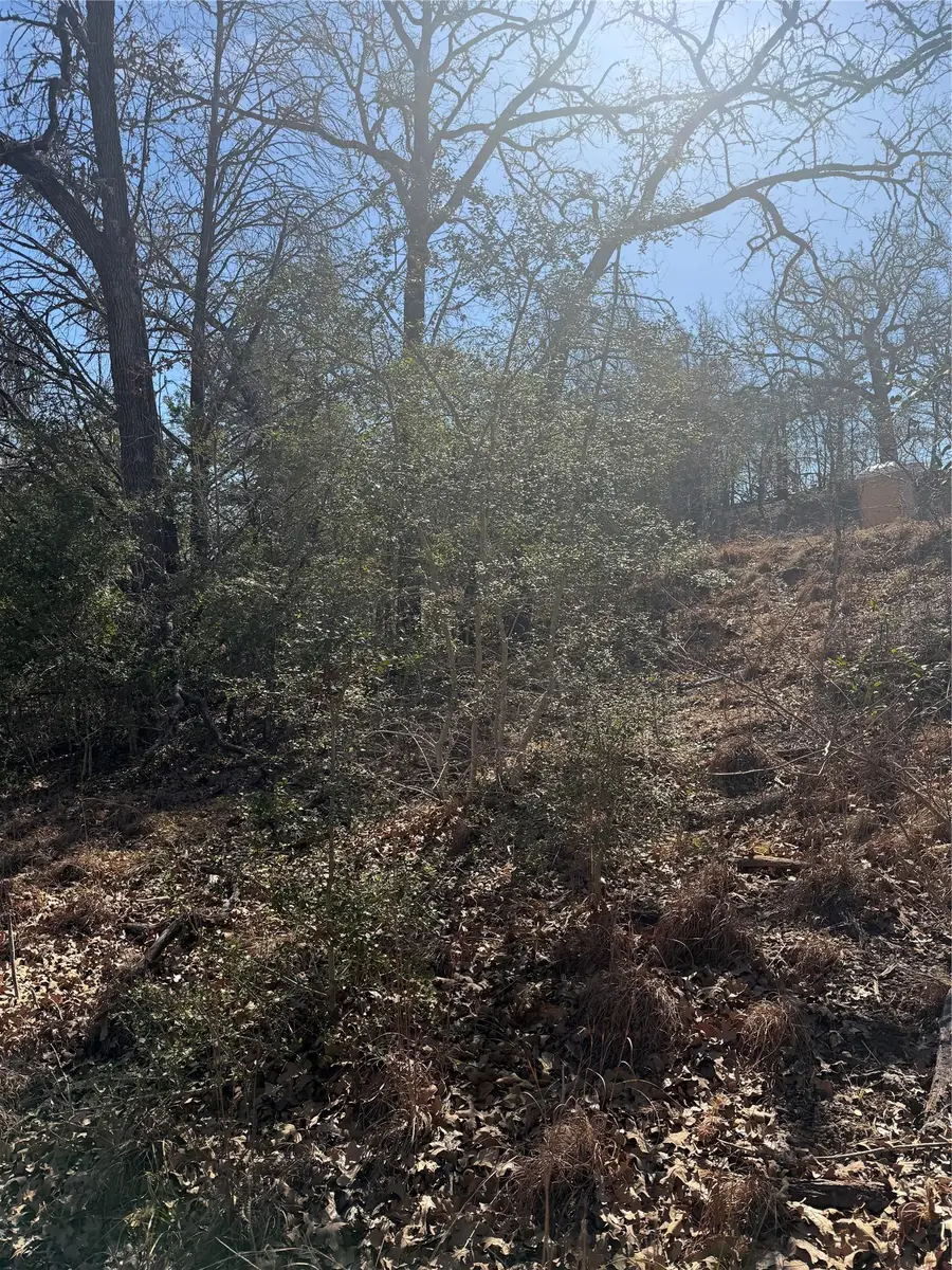 Lot 110 Wailupe Cir, Bastrop, TX 78602 - #3