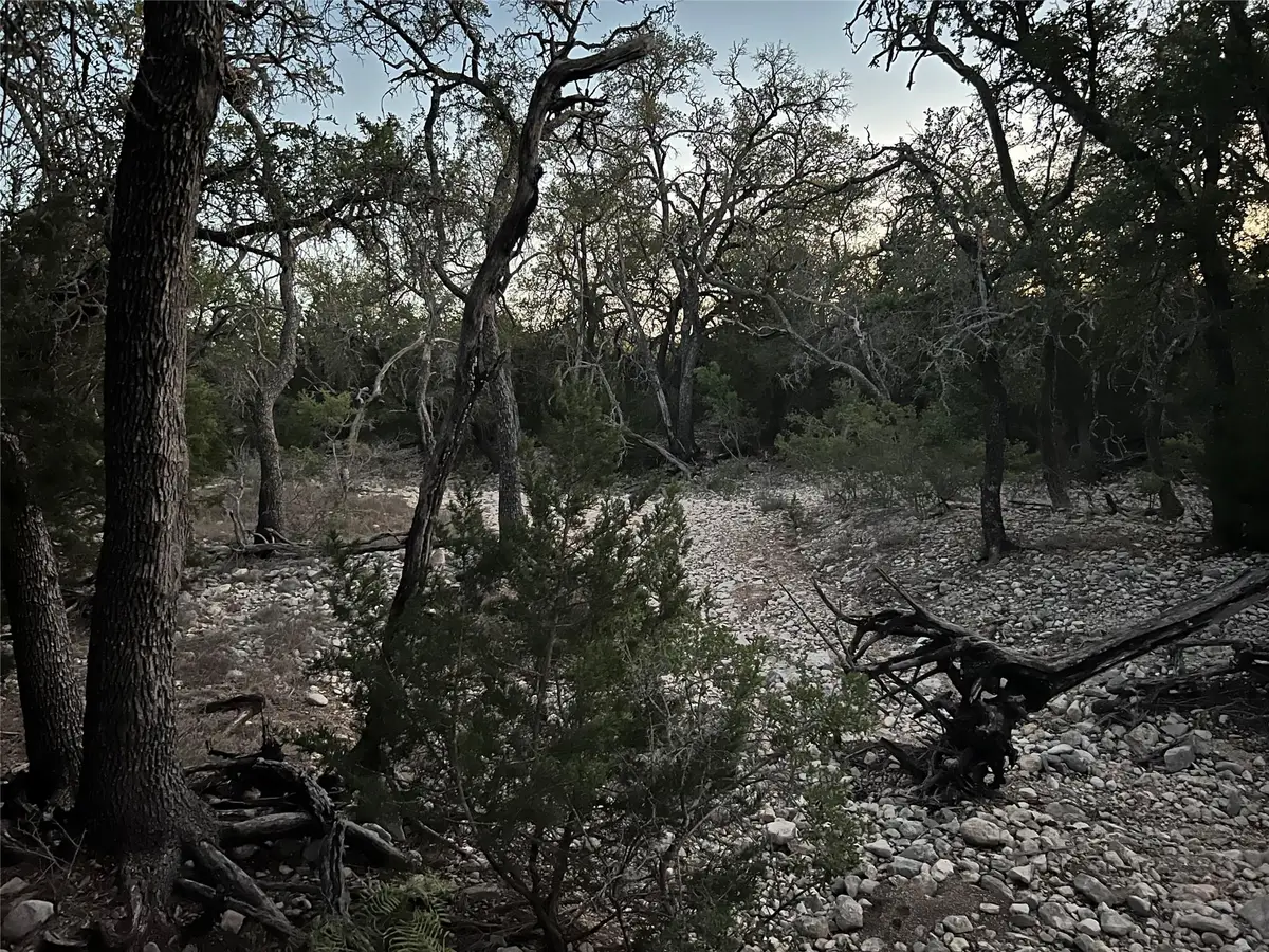 TBD County Road 450, Rocksprings, TX 78880 - #1