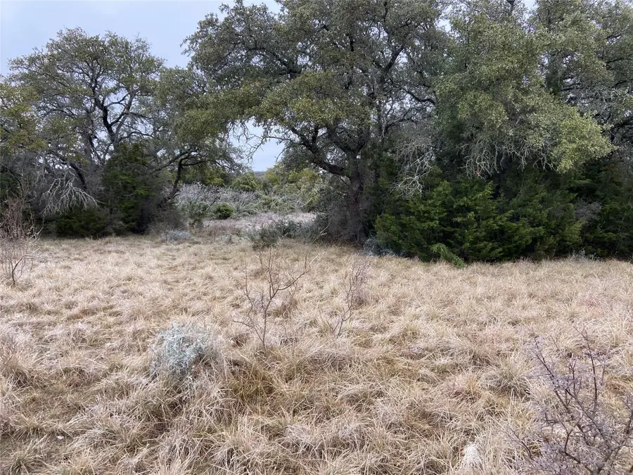 TBD County Road 450, Rocksprings, TX 78880 - #3