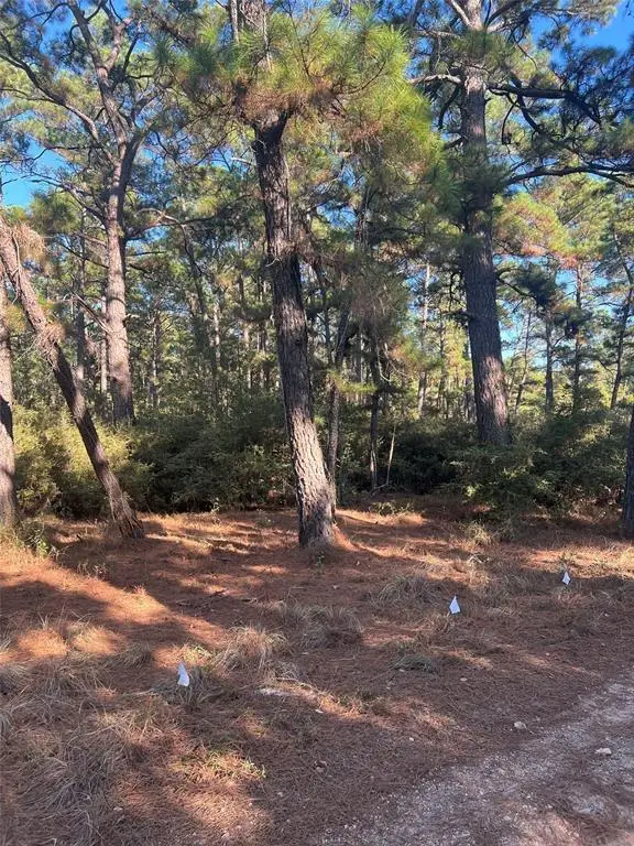 Lot 43 Pine Lodge Dr, Bastrop, TX 78602 - #2