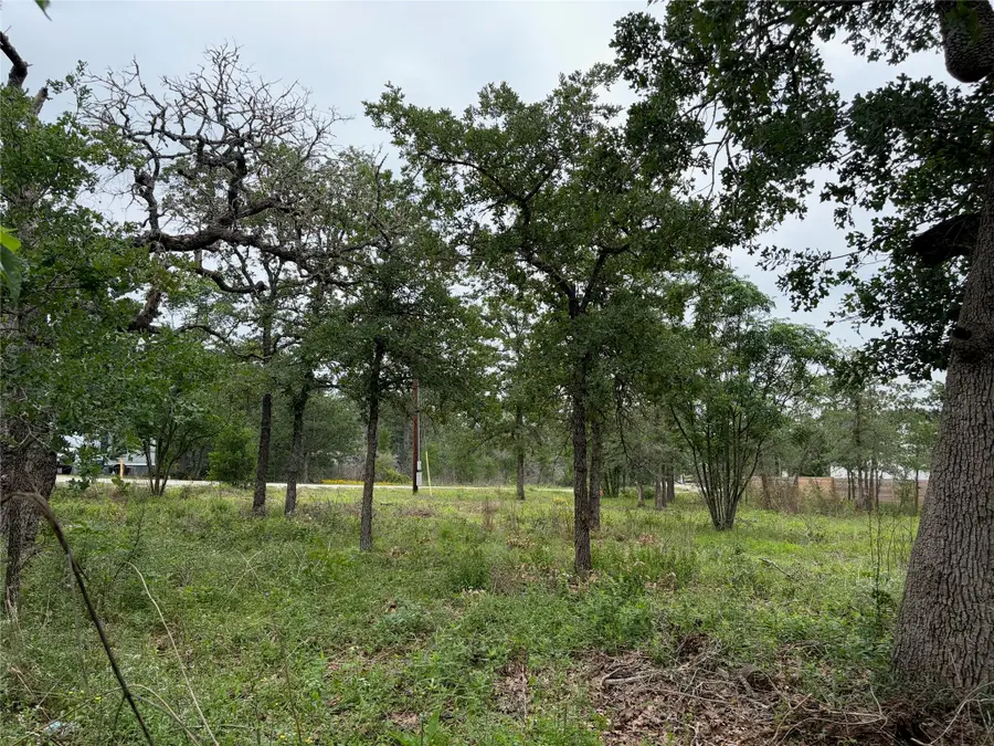 000 Deer Run, Smithville, TX 78957 - #3