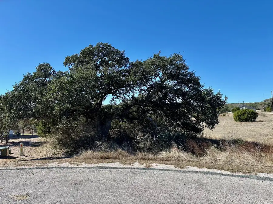 110 Alf Hunter, Blanco, TX 78606 - #2