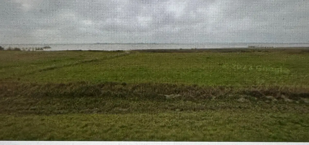 938 Porpoise Dr, Palacios, TX 77465 - #1