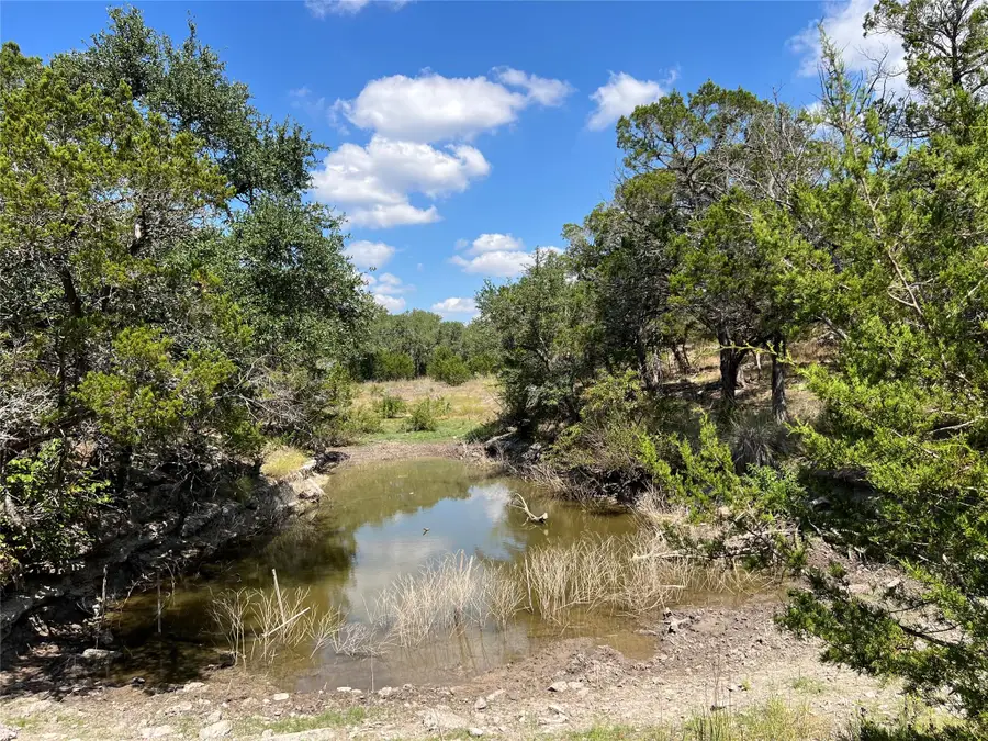 992 Hines Branch Rd, Blanco, TX 78606 - #2