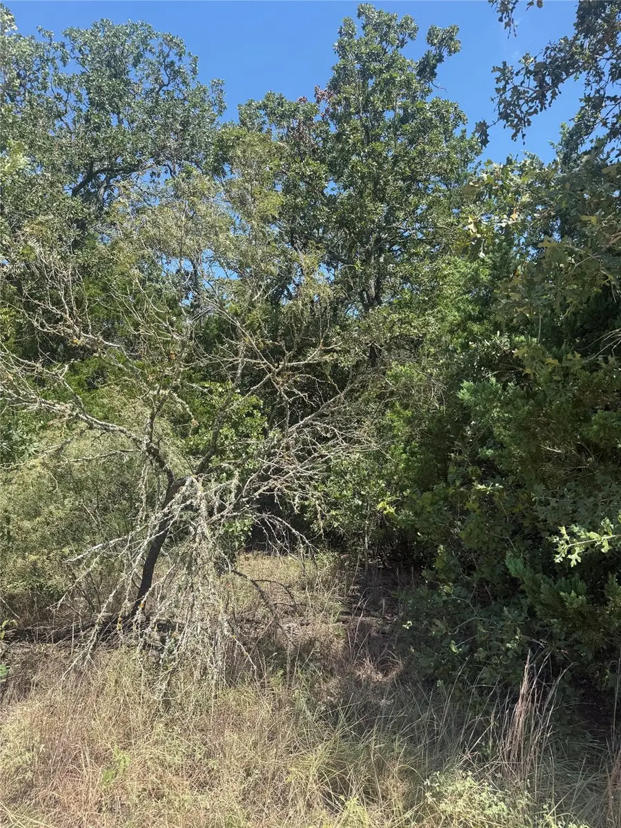 TBD Blanket Flower Dr Lot 18 Dr, Bastrop, TX 78602 - #2