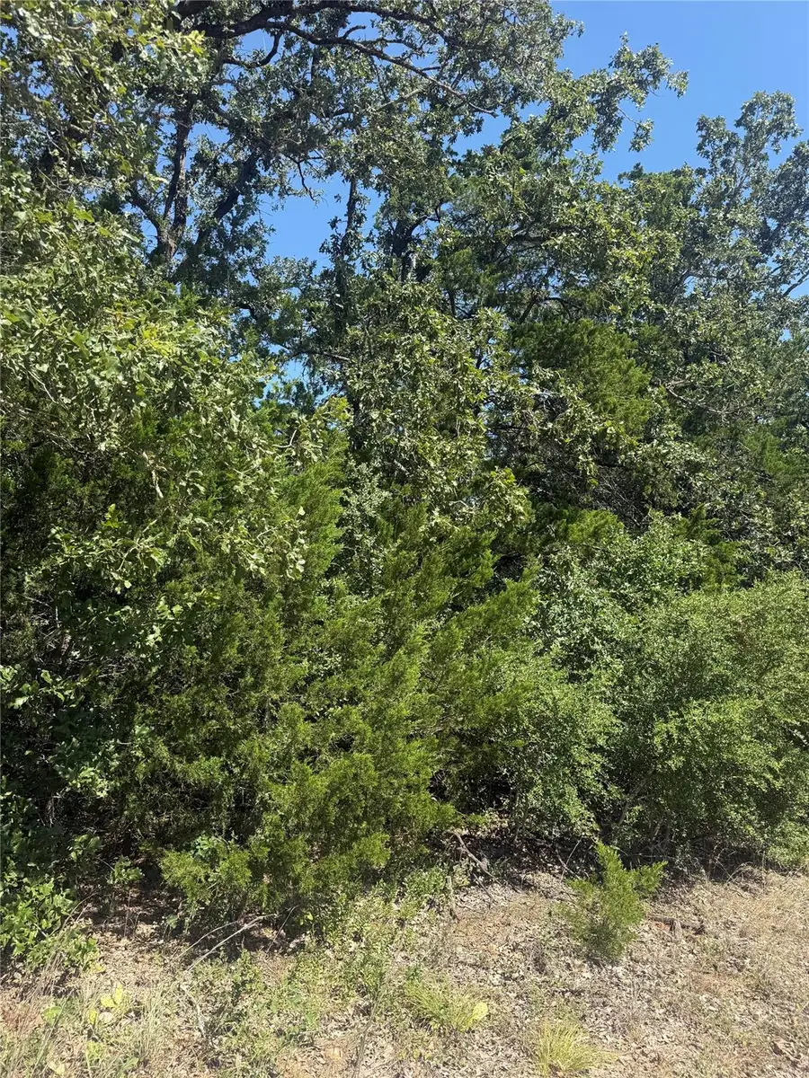 TBD Blanket Flower Dr Lot 18 Dr, Bastrop, TX 78602 - #3