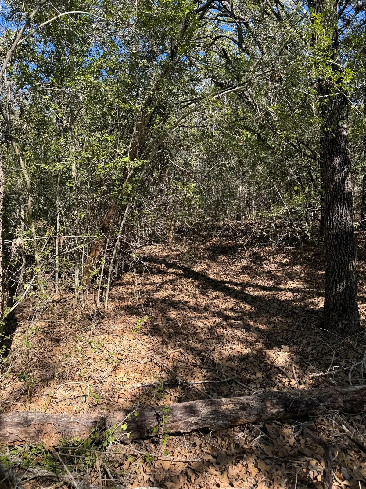 Lot 195 Kaelepulu Dr, Bastrop, TX 78602 - Image #1