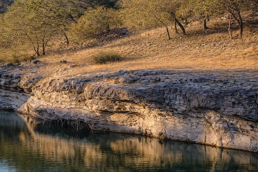 2609 Oak Ridge Dr, Southwest Travis, TX 78620 - #3