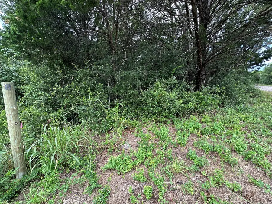 Lot 8 Green Valley Rd, Bastrop, TX 78602 - #3