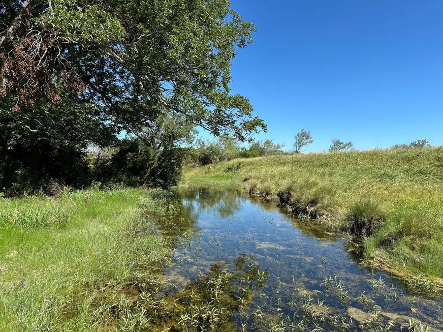 23 acres County Road 330, Bertram, TX 78605 - #2