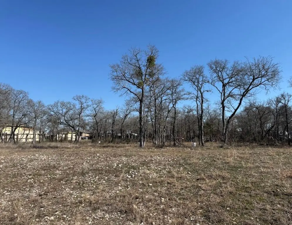 121 Pink Dahlia Dr, Dale, TX 78616 - #1