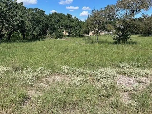 W1111 Blister Gold / Bay West Blvd, Horseshoe Bay, TX 78657 - #2