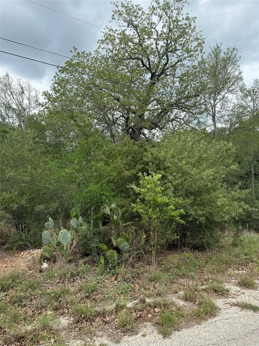 Lots 69 and 70 Kaelepulu Dr, Bastrop, TX 78602 - #2