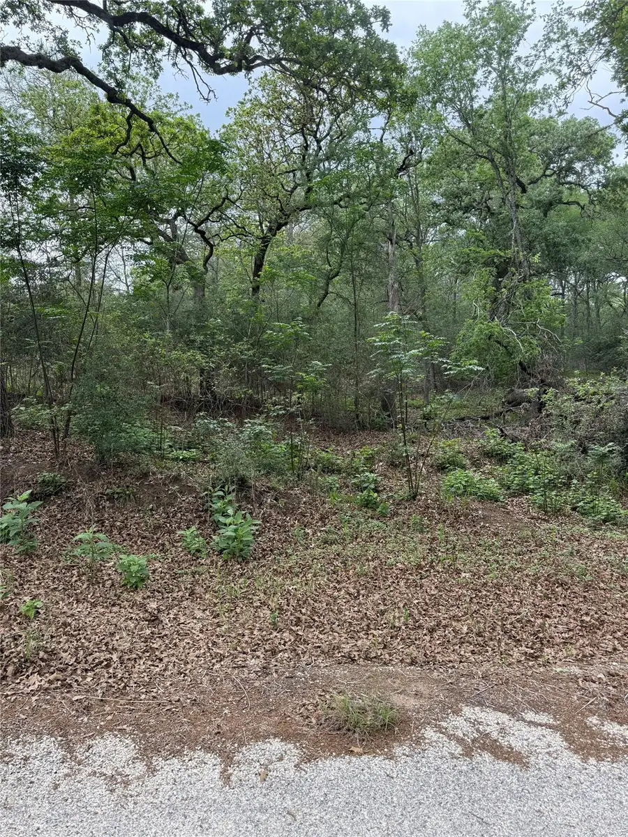 Lots 69 and 70 Kaelepulu Dr, Bastrop, TX 78602 - #3
