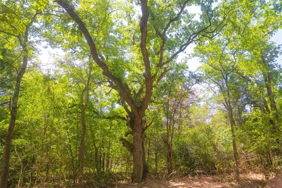 5115 N State Highway 6, Hearne, TX 77859 - Image #2