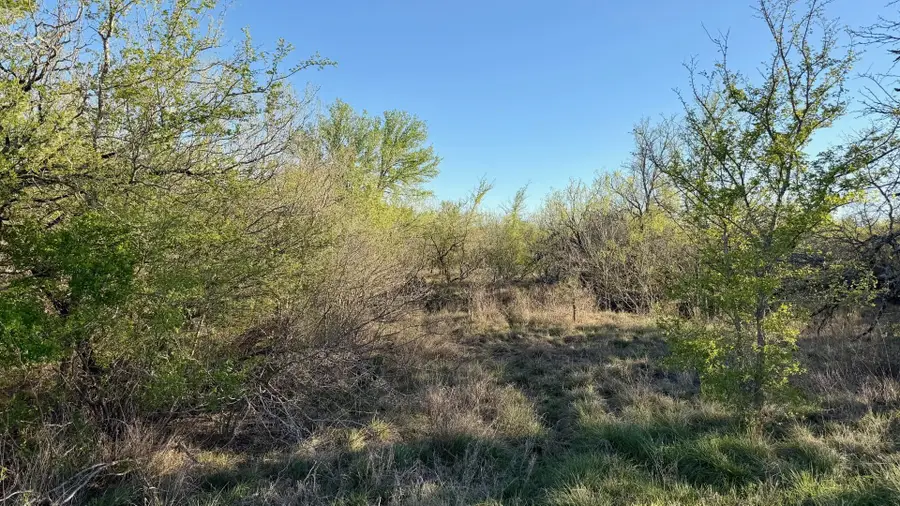 14 Spanish Oaks Blvd, Lockhart, TX 78644 - #3