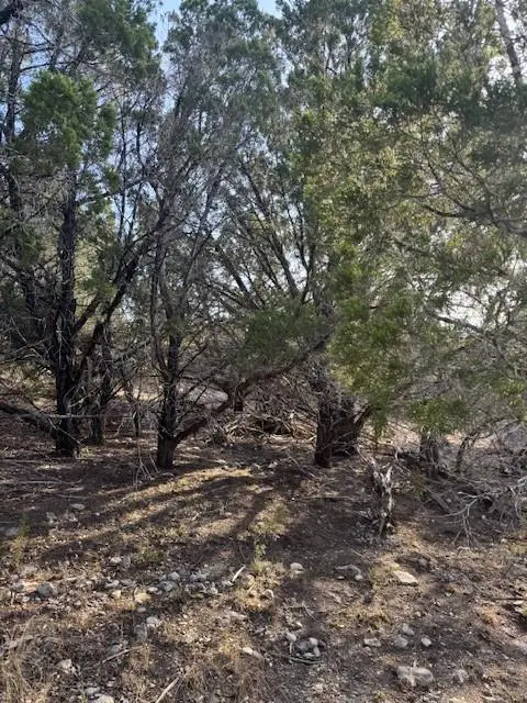 20003 Continental Cv, Leander, TX 78645