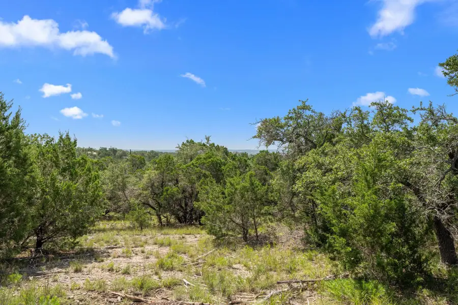 31842 Mirela Ann Rd, Dripping Springs, TX 78620 - Image #2