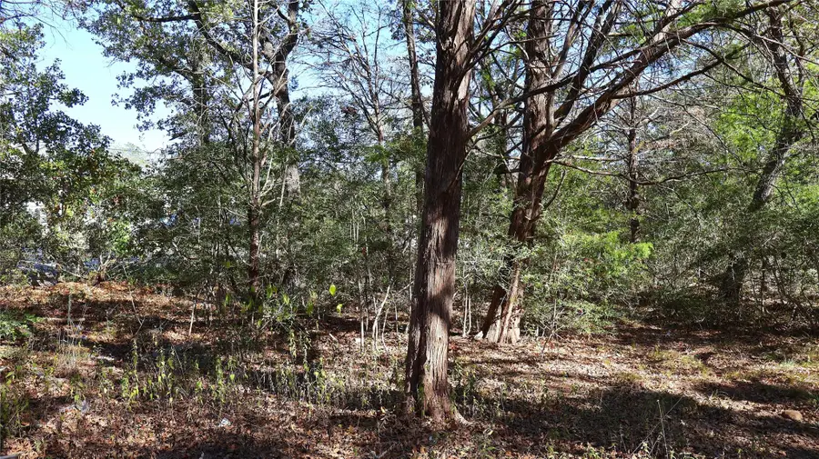 TBD Choctaw Trl, Smithville, TX 78957 - Image #2