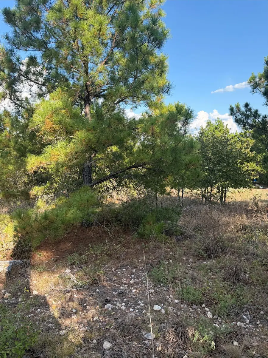 Lot 702 Oahu Ct, Bastrop, TX 78602 - #2