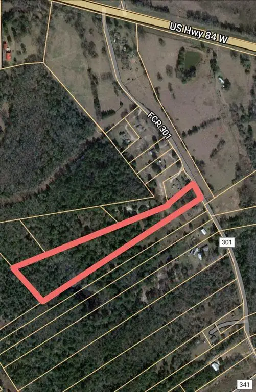 440 Fcr 301 Rd, Butler, TX 75855 - Image #2