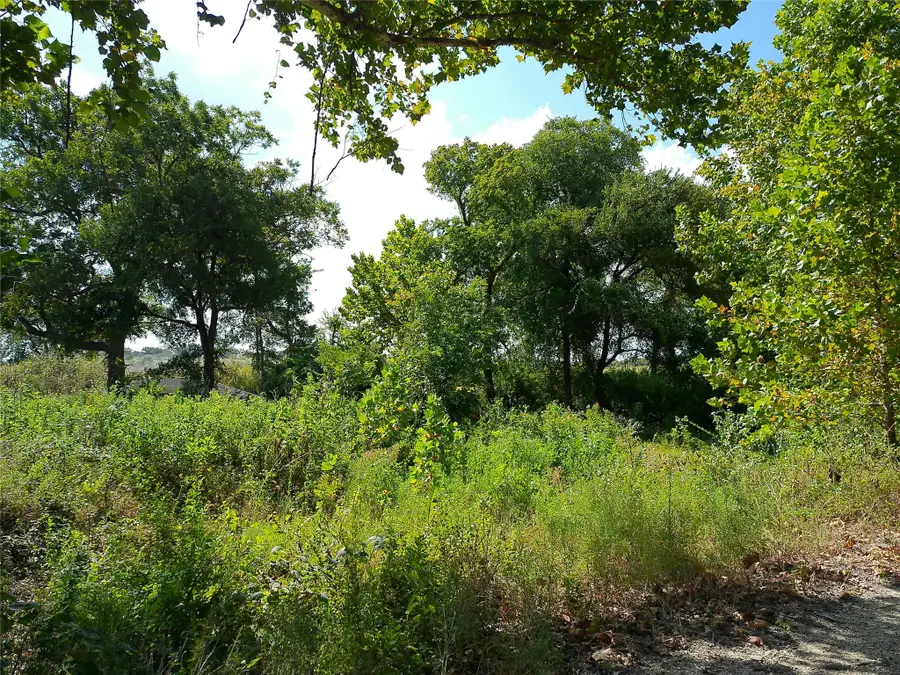 Lot 29 Serenity Dr, Bertram, TX 78605 - #3