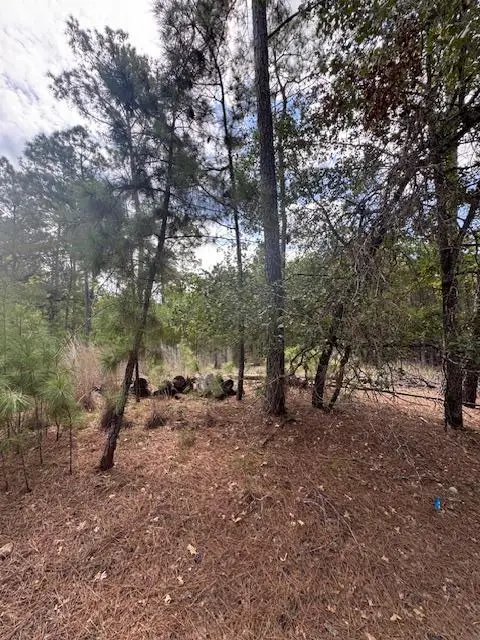 TBD Otto Lane & Red Fox Rd, La Grange, TX 78945