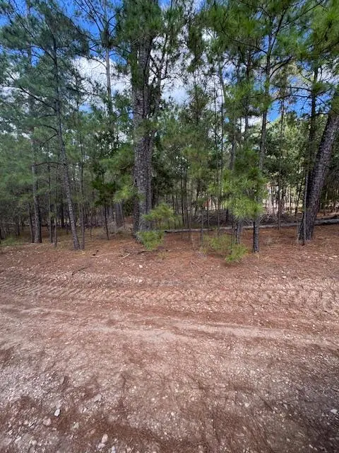 TBD Otto Lane & Red Fox Rd, La Grange, TX 78945 - #2