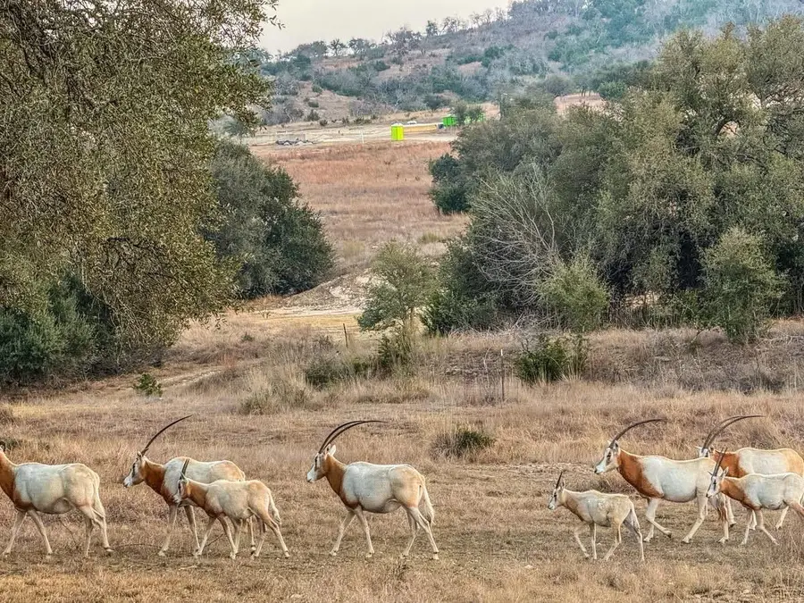 Lot 211 Majestic Hills Dr, Blanco, TX 78606 - #2