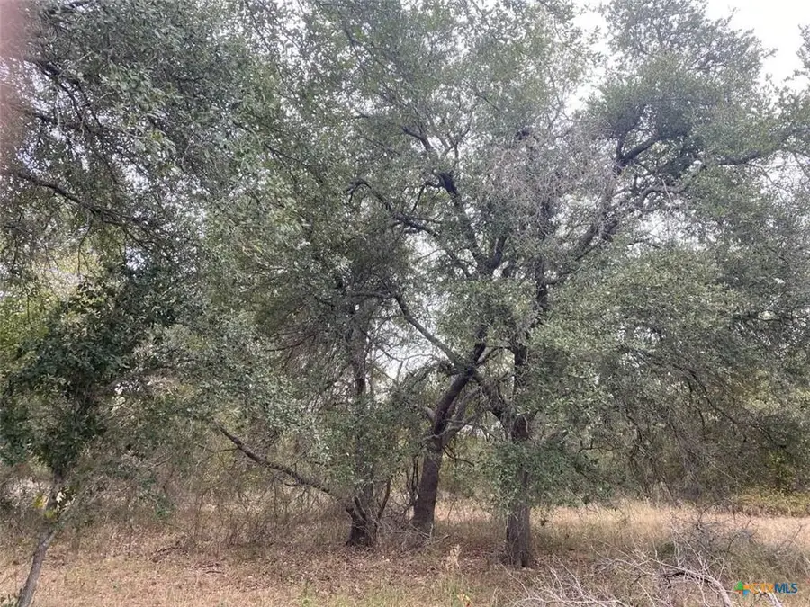 TBD County Road 405, Buckholts, TX 76518 - #2