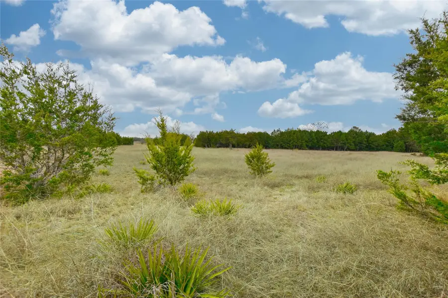 5025 County Road 200 Rd, Liberty Hill, TX 78642 - #2