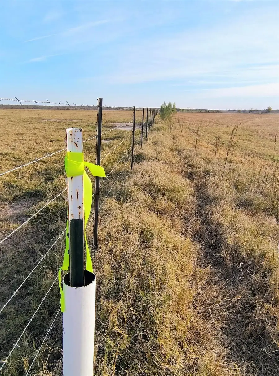 3001 Dolphin Dr, Coupland, TX 78615 - Image #2