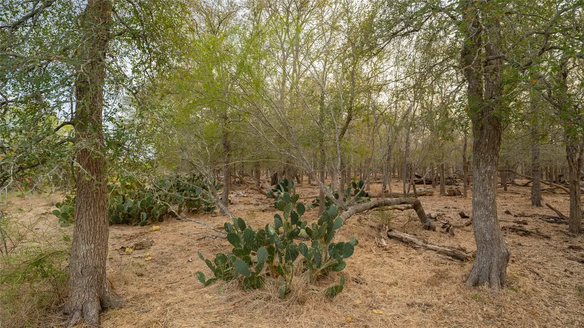 3980 (Tract 5) Fm 3158, Dale, TX 78616 - Image #1