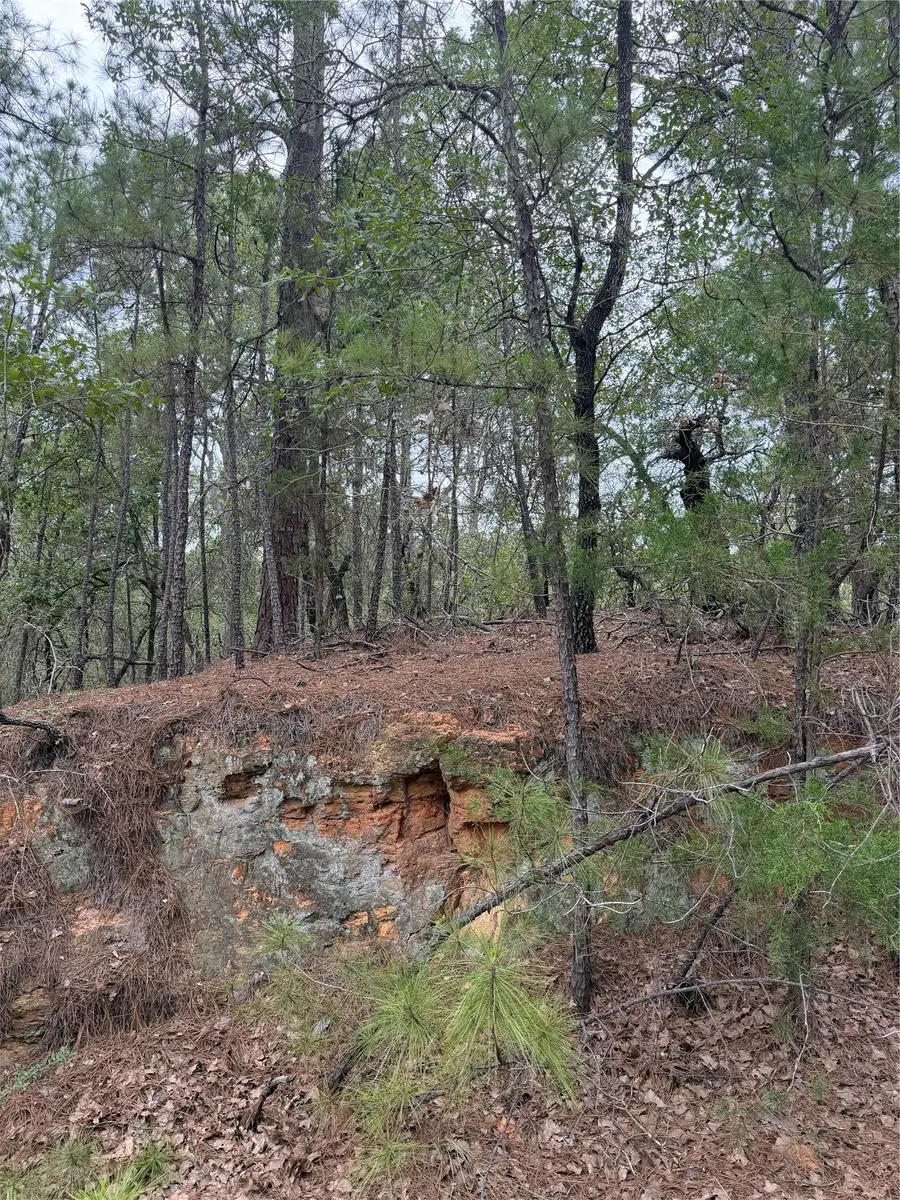 Lot 214 Hekili Dr, Bastrop, TX 78602 - #3