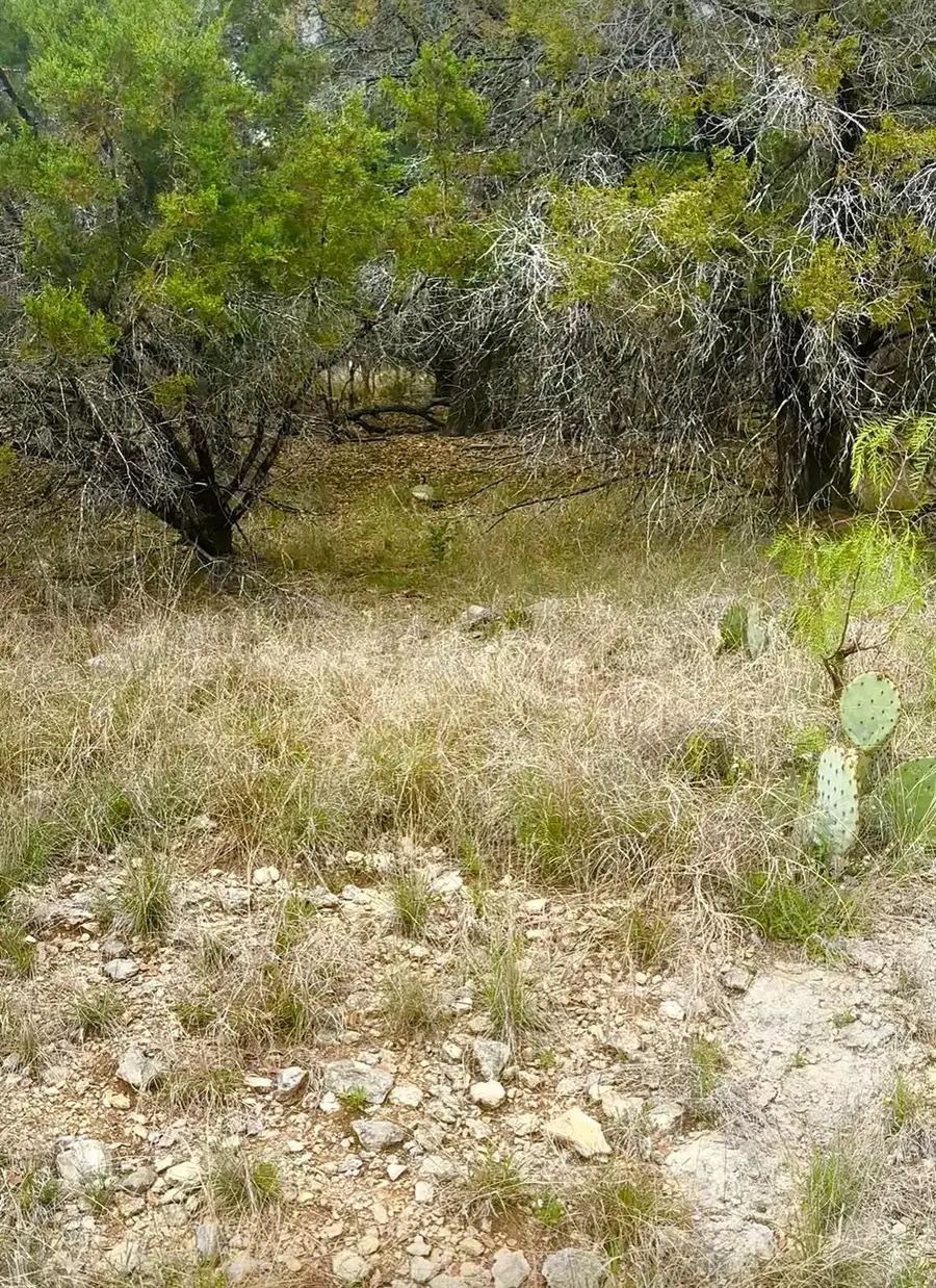 2000 Santa Cruz Cir, Leander, TX 78645 - #2